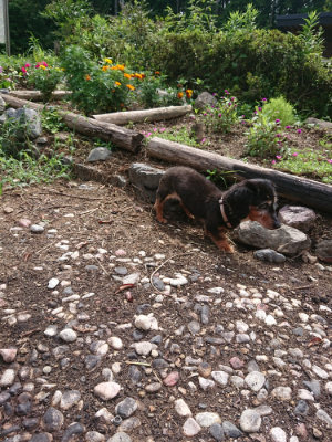 f:id:roukenhome-ann:20190825100515j:plain