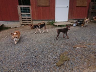 f:id:roukenhome-ann:20190825100711j:plain