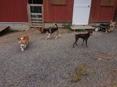 f:id:roukenhome-ann:20190825100716j:plain