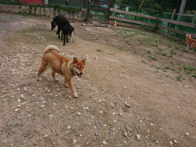 f:id:roukenhome-ann:20190825100721j:plain
