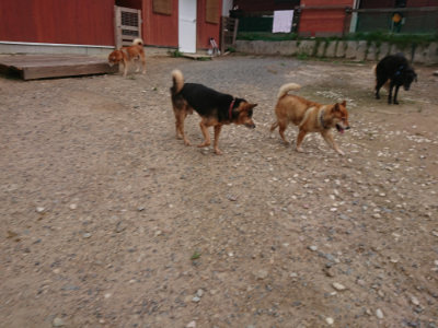 f:id:roukenhome-ann:20190825100744j:plain