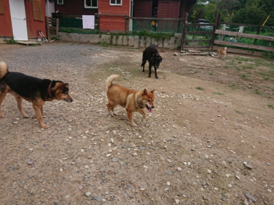 f:id:roukenhome-ann:20190825100750j:plain
