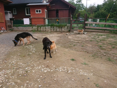 f:id:roukenhome-ann:20190825100754j:plain