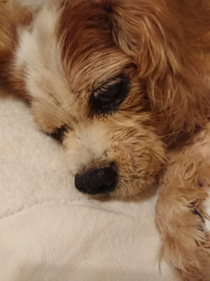 f:id:roukenhome-ann:20190825100832j:plain