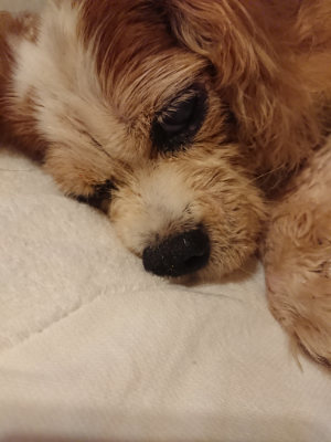 f:id:roukenhome-ann:20190825100837j:plain