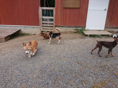f:id:roukenhome-ann:20190825100844j:plain