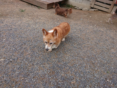 f:id:roukenhome-ann:20190825100848j:plain