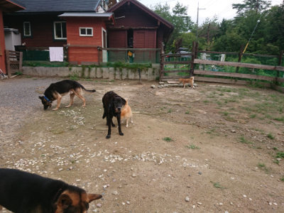f:id:roukenhome-ann:20190825100855j:plain