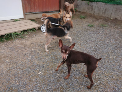 f:id:roukenhome-ann:20190825100920j:plain