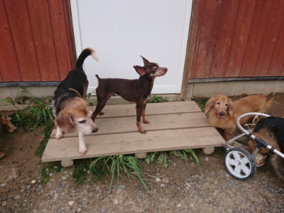 f:id:roukenhome-ann:20190825100954j:plain