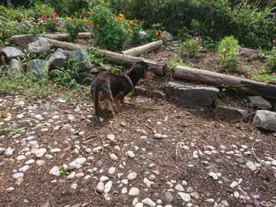 f:id:roukenhome-ann:20190825101015j:plain