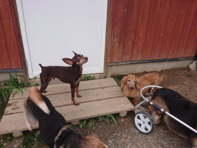 f:id:roukenhome-ann:20190825101020j:plain
