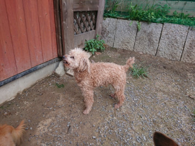 f:id:roukenhome-ann:20190825101026j:plain