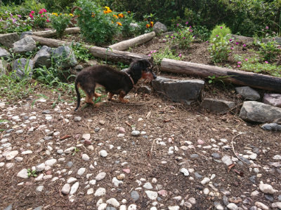f:id:roukenhome-ann:20190825101031j:plain