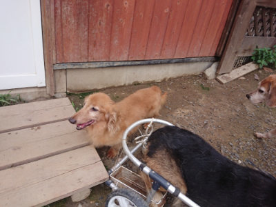 f:id:roukenhome-ann:20190825101037j:plain