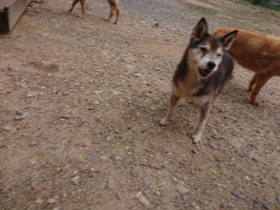 f:id:roukenhome-ann:20190825103624j:plain