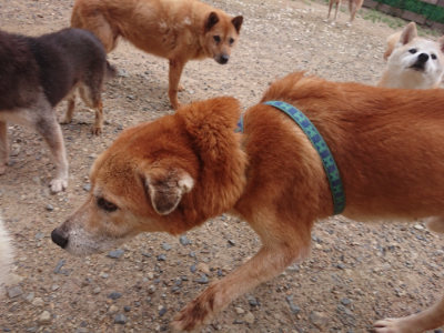 f:id:roukenhome-ann:20190825103707j:plain