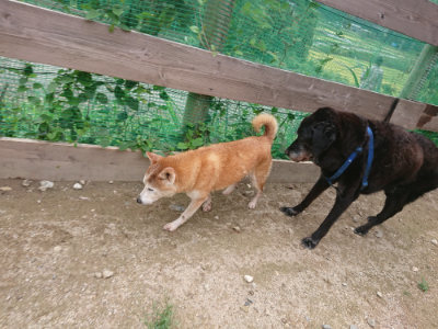f:id:roukenhome-ann:20190825103720j:plain