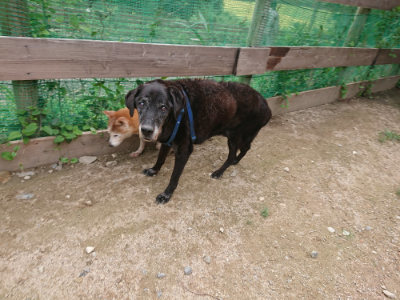 f:id:roukenhome-ann:20190825103754j:plain