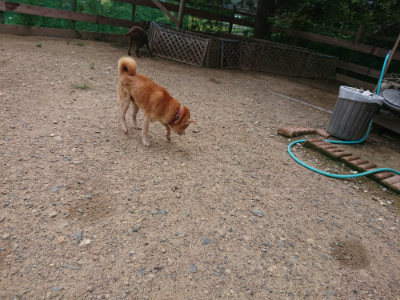 f:id:roukenhome-ann:20190825103923j:plain