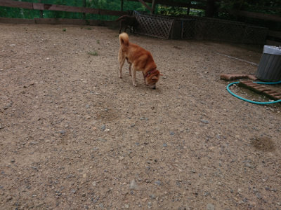 f:id:roukenhome-ann:20190825104003j:plain