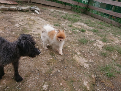 f:id:roukenhome-ann:20190825104043j:plain