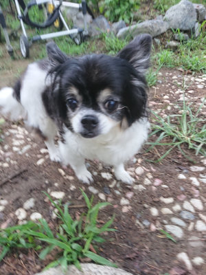 f:id:roukenhome-ann:20190825114249j:plain