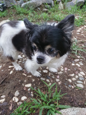 f:id:roukenhome-ann:20190825114254j:plain