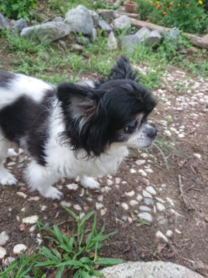 f:id:roukenhome-ann:20190825114300j:plain