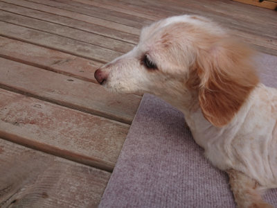 f:id:roukenhome-ann:20190825121013j:plain