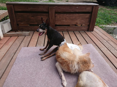f:id:roukenhome-ann:20190825121144j:plain