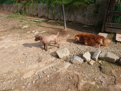 f:id:roukenhome-ann:20190825192519j:plain