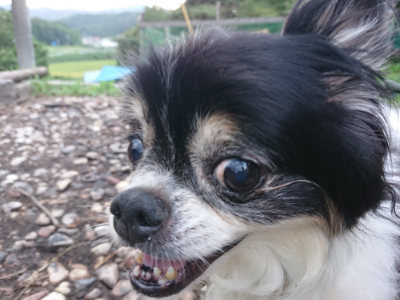 f:id:roukenhome-ann:20190825192524j:plain
