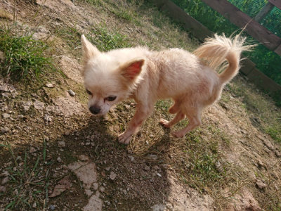 f:id:roukenhome-ann:20190825192534j:plain