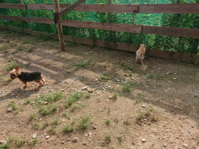 f:id:roukenhome-ann:20190825192555j:plain
