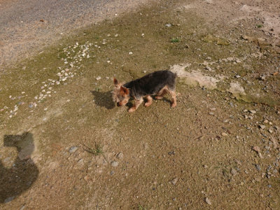 f:id:roukenhome-ann:20190825192624j:plain