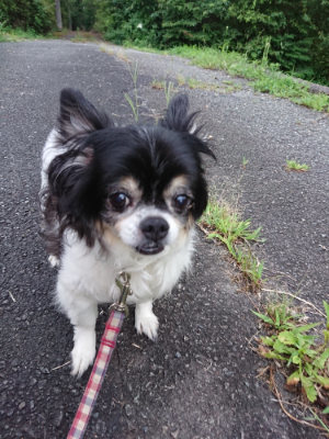 f:id:roukenhome-ann:20190825192636j:plain