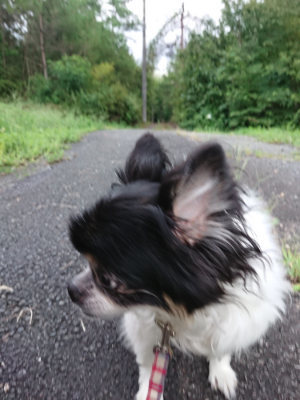 f:id:roukenhome-ann:20190825192642j:plain