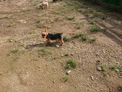 f:id:roukenhome-ann:20190825192646j:plain