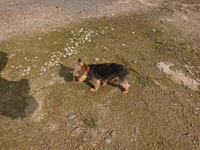 f:id:roukenhome-ann:20190825192653j:plain