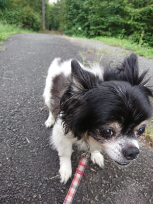 f:id:roukenhome-ann:20190825192745j:plain