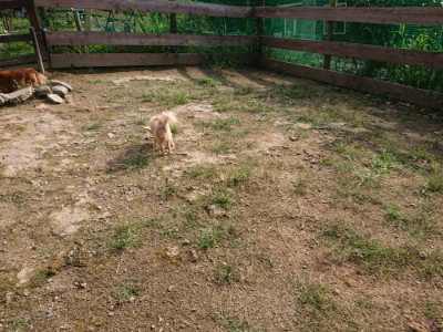 f:id:roukenhome-ann:20190825192811j:plain