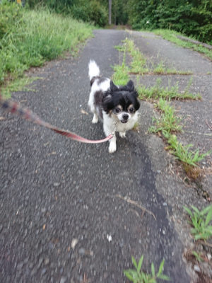 f:id:roukenhome-ann:20190825192837j:plain