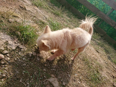 f:id:roukenhome-ann:20190825192853j:plain