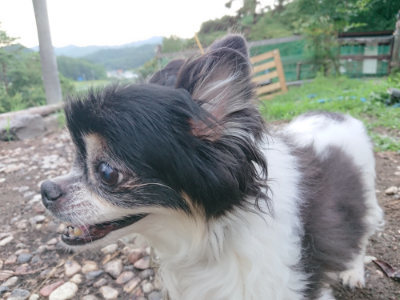 f:id:roukenhome-ann:20190825192906j:plain