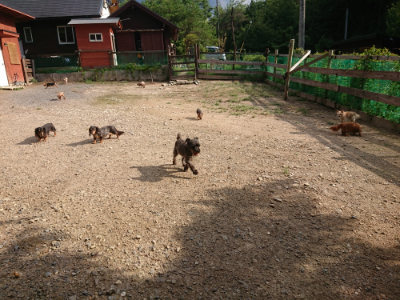 f:id:roukenhome-ann:20190825193533j:plain