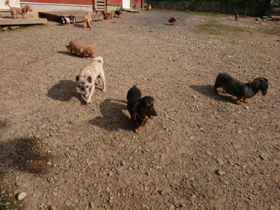 f:id:roukenhome-ann:20190825193558j:plain