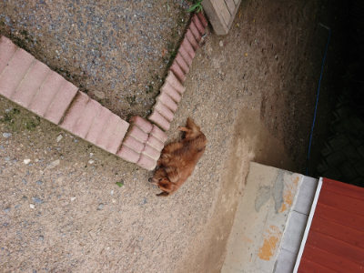 f:id:roukenhome-ann:20190825193655j:plain