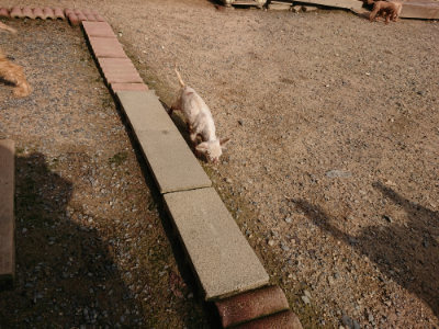 f:id:roukenhome-ann:20190825193807j:plain