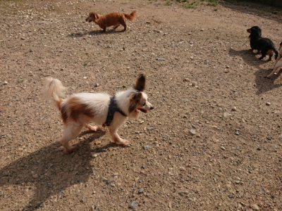 f:id:roukenhome-ann:20190825193858j:plain